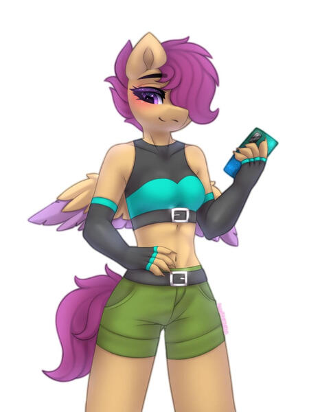 Anthro commissions